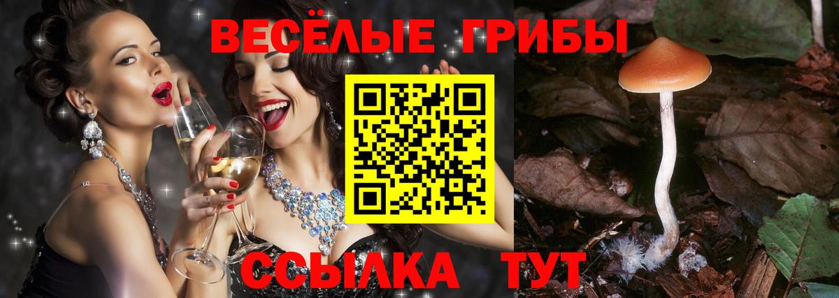 Галлюциногенные грибы Cubensis  Вход с VPN  Пугачёв 